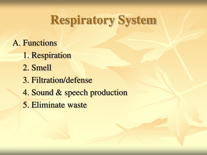 respiratory system