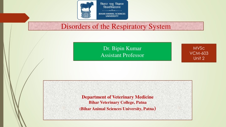 disorders of the respiratory system