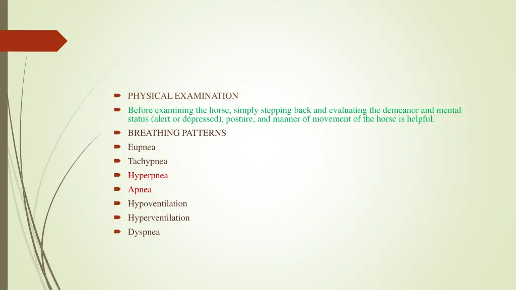 physical examination before examining the horse