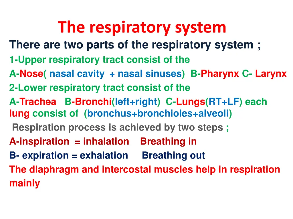 the respiratory system there are two parts