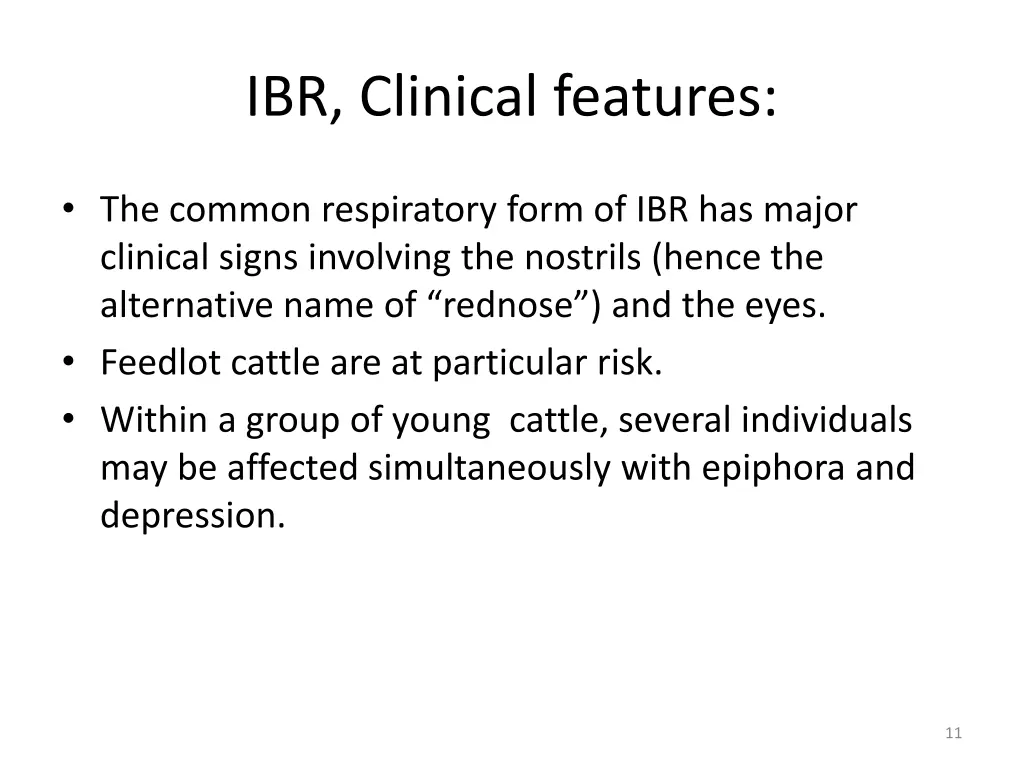 ibr clinical features