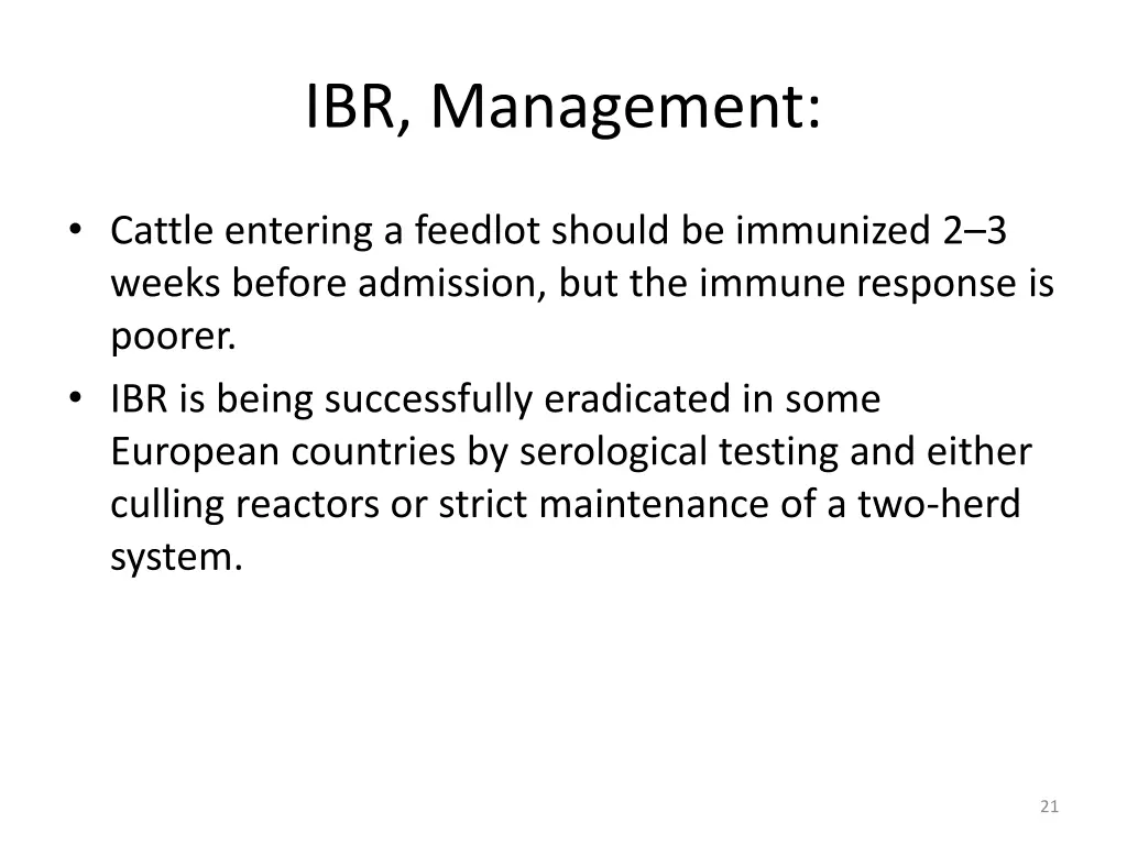 ibr management 1