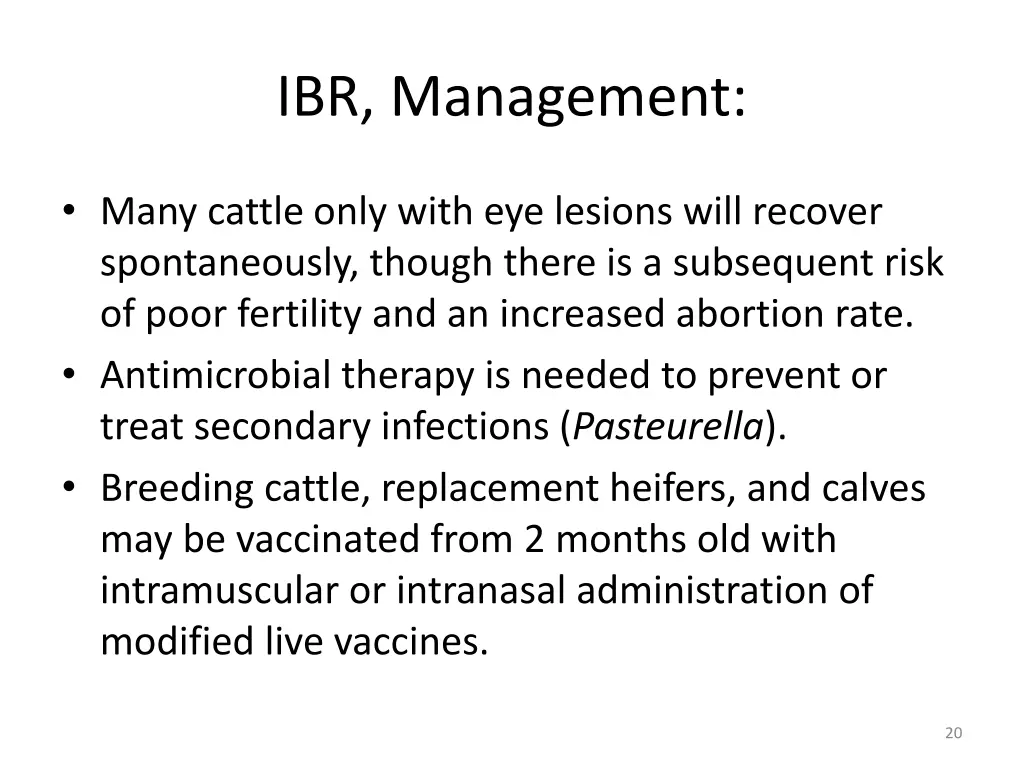 ibr management