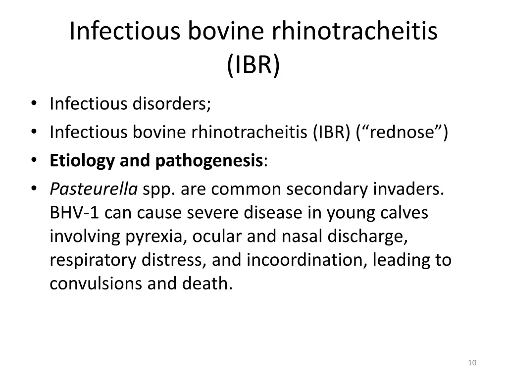 infectious bovine rhinotracheitis ibr