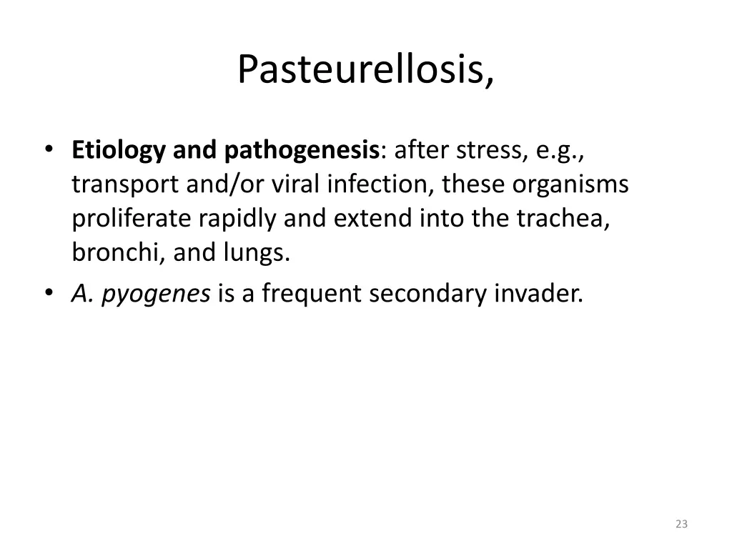 pasteurellosis 1