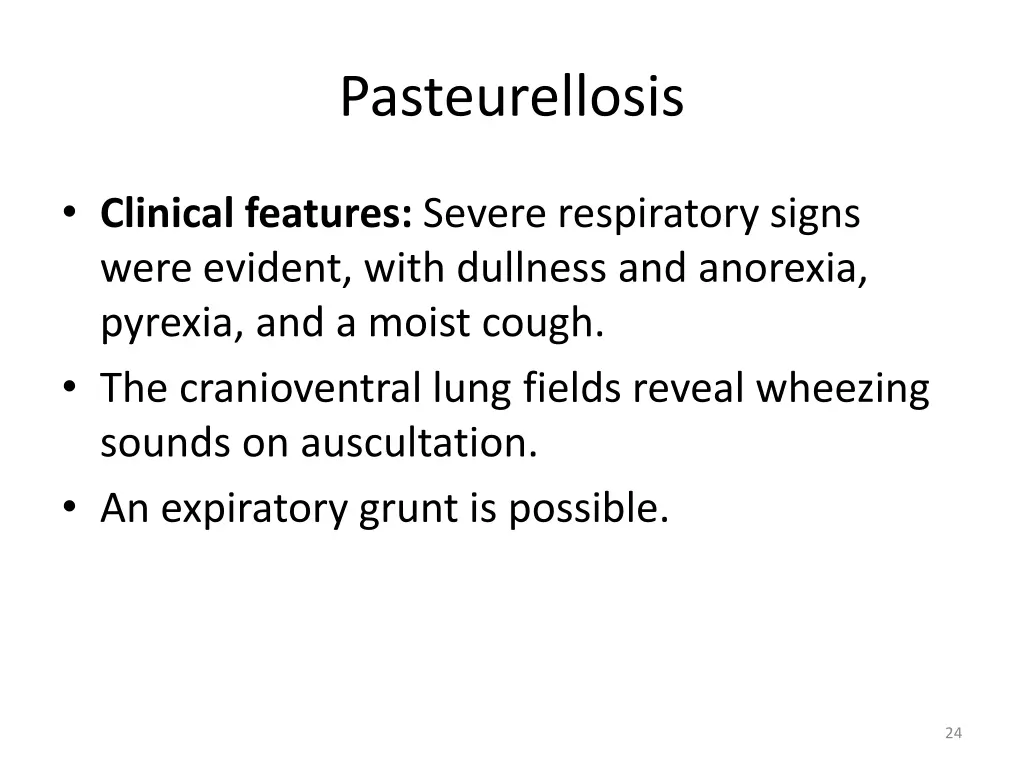 pasteurellosis 2