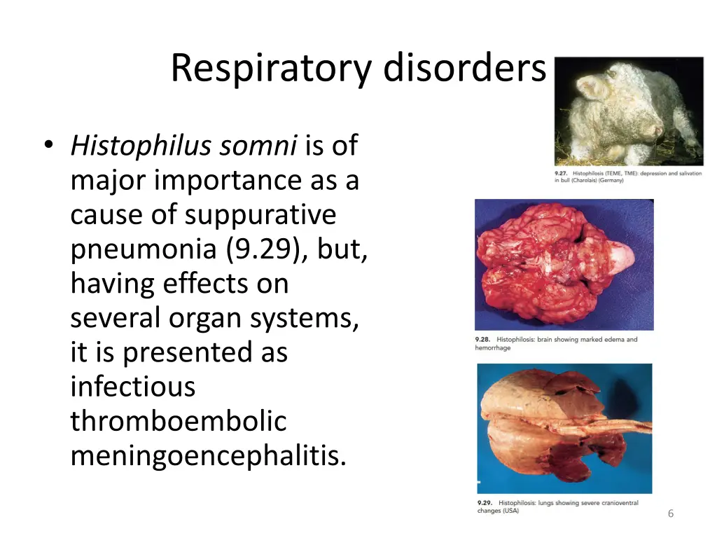 respiratory disorders 4