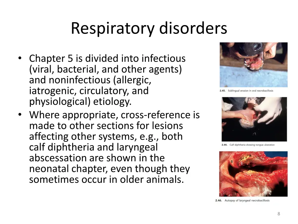 respiratory disorders 6