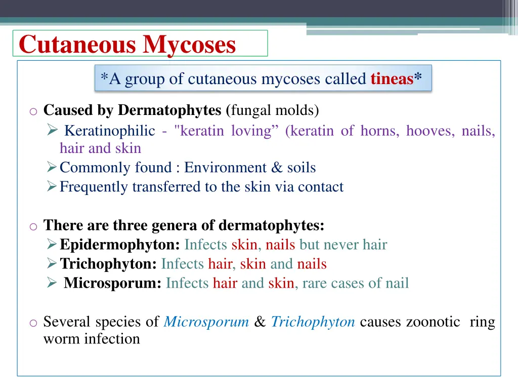 cutaneous mycoses 1