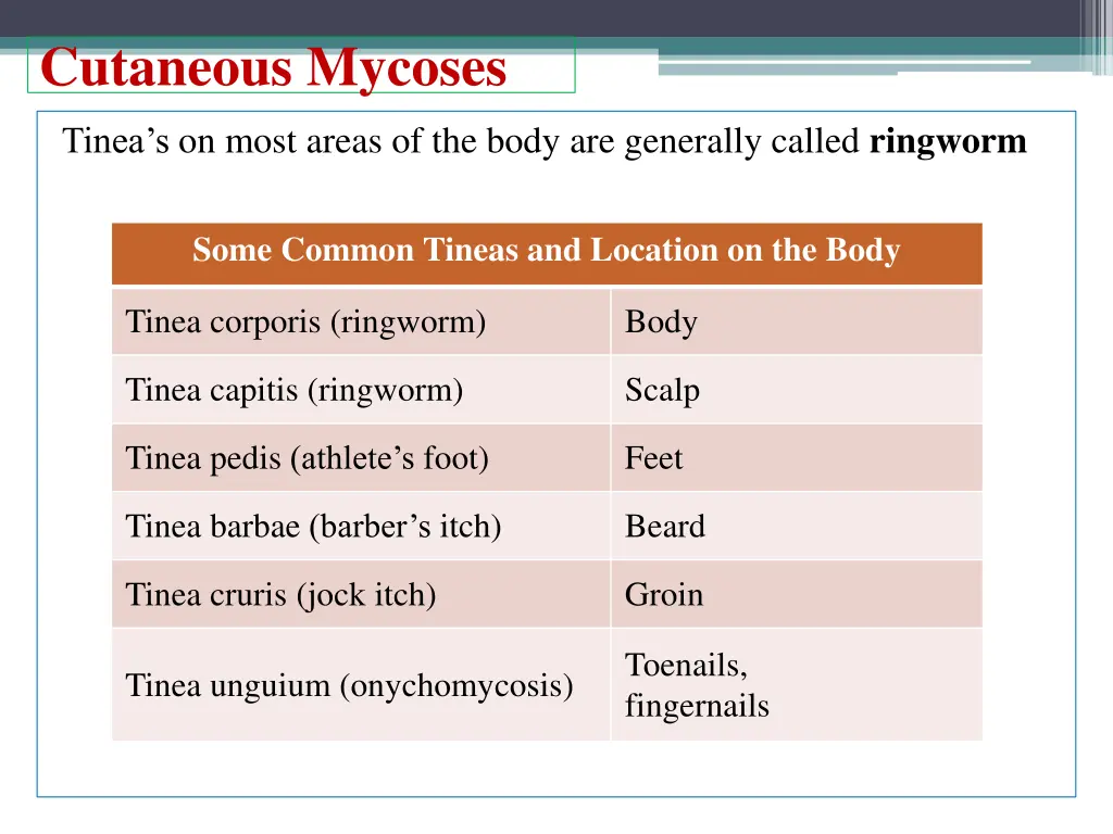 cutaneous mycoses 4