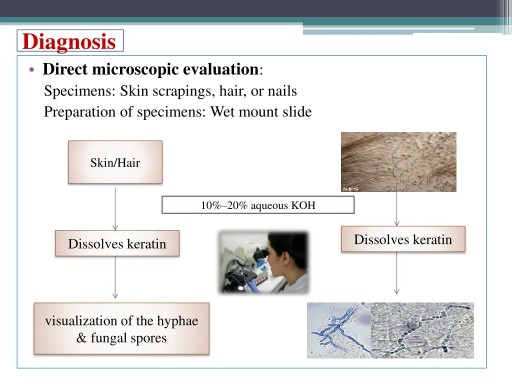 diagnosis 1