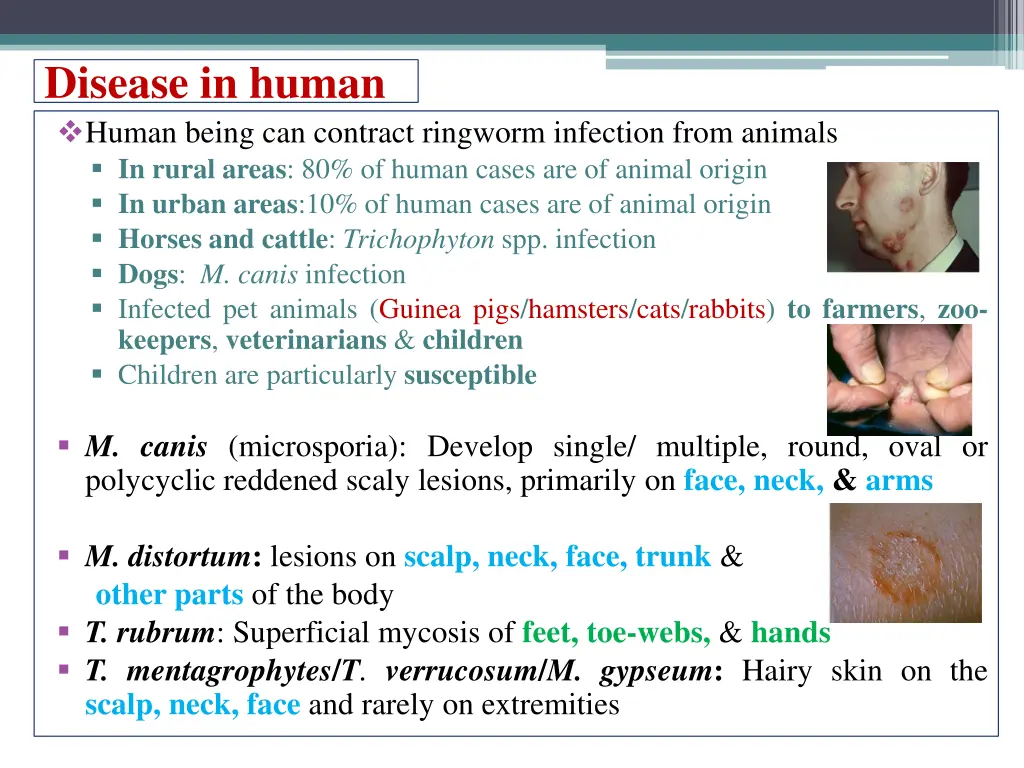 disease in human