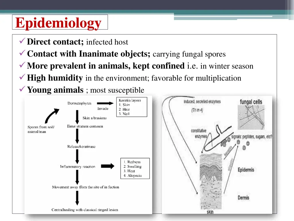 epidemiology