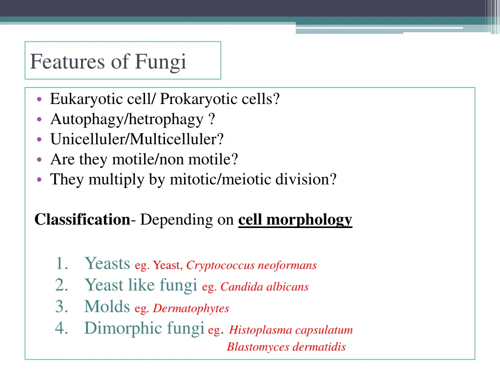 features of fungi