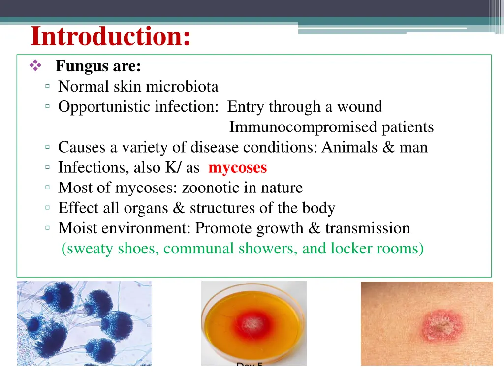 introduction fungus are normal skin microbiota