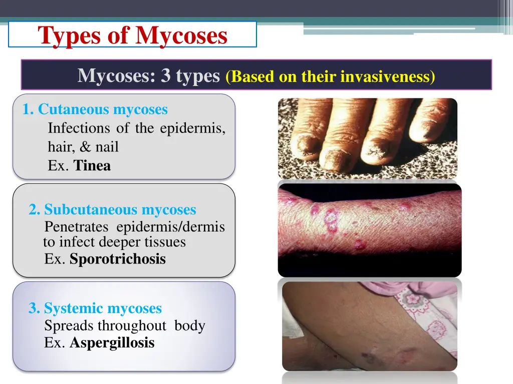 types of mycoses