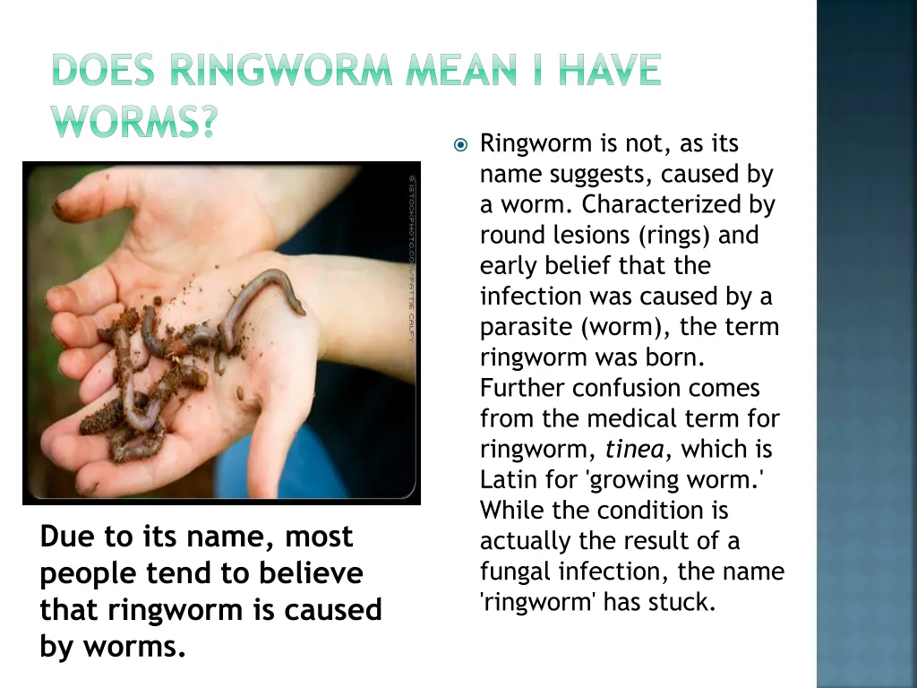 does ringworm mean i have worms