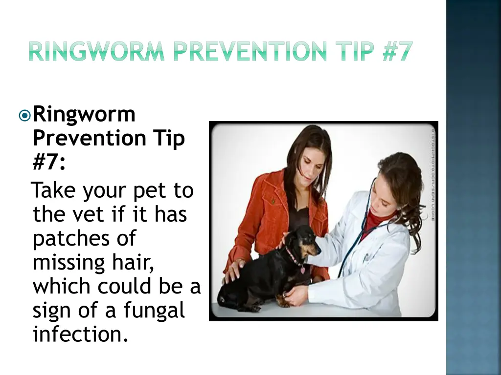 ringworm prevention tip 7