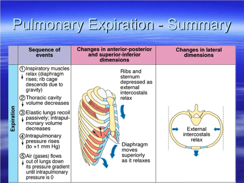 pulmonary expiration summary