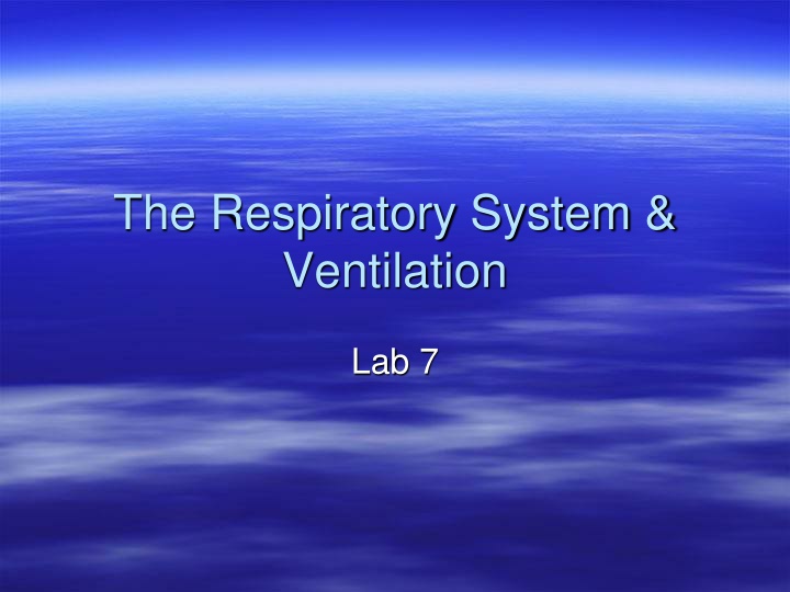 the respiratory system ventilation