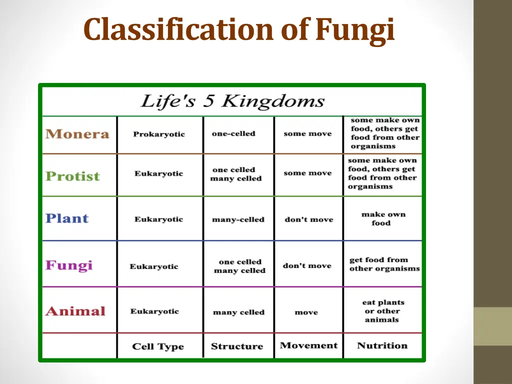 classification of fungi