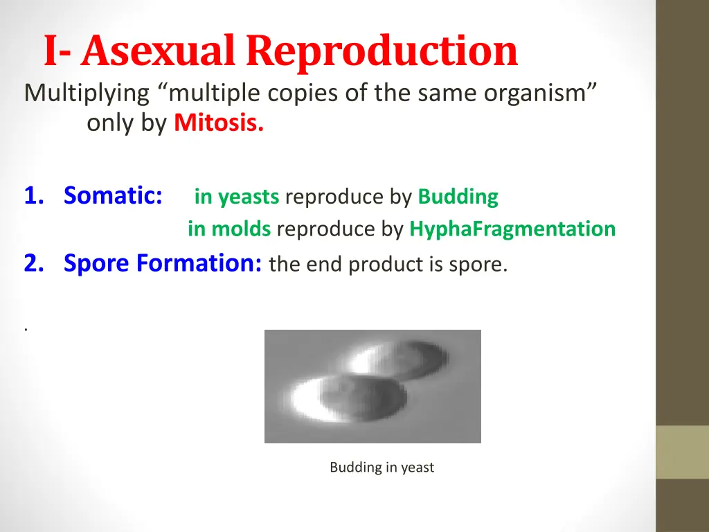 i asexual reproduction multiplying multiple