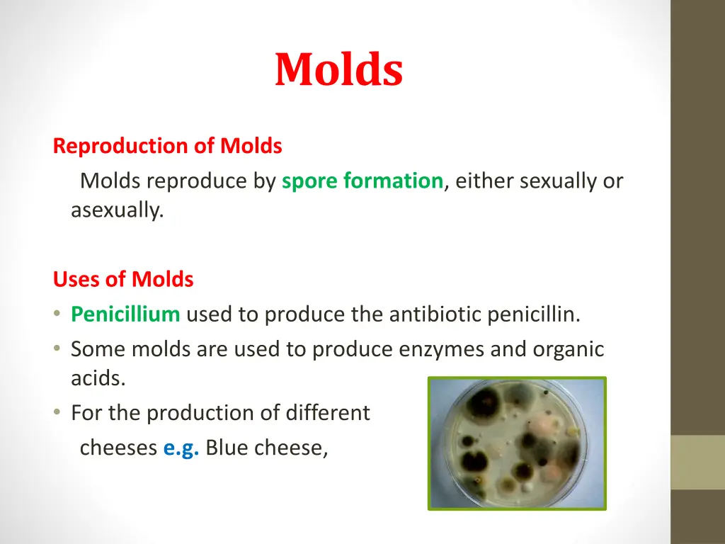 molds 1