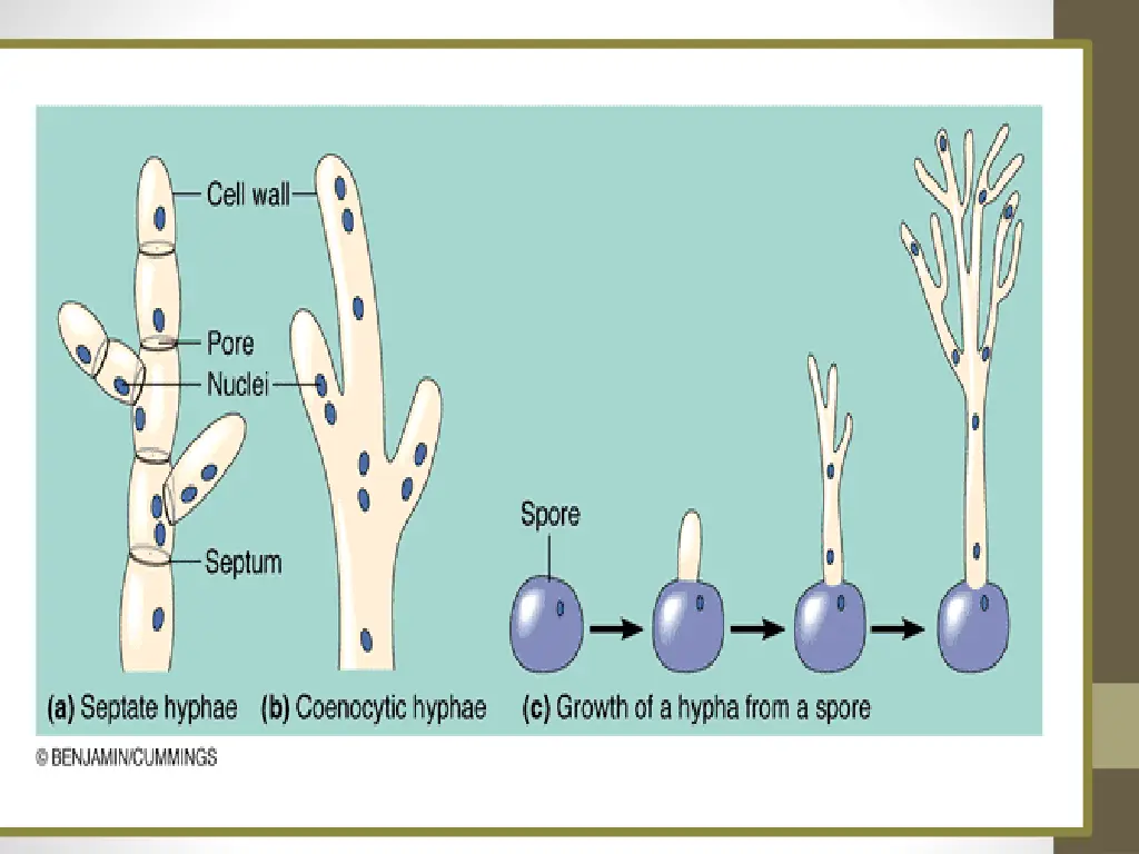 slide12