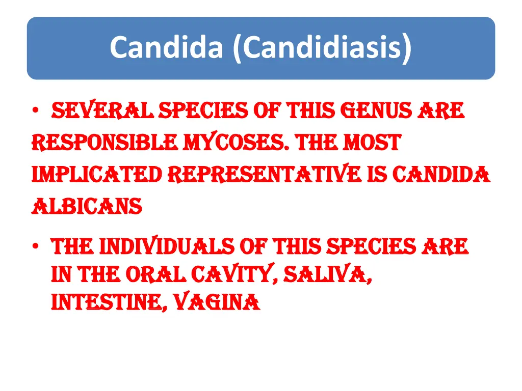 candida candidiasis