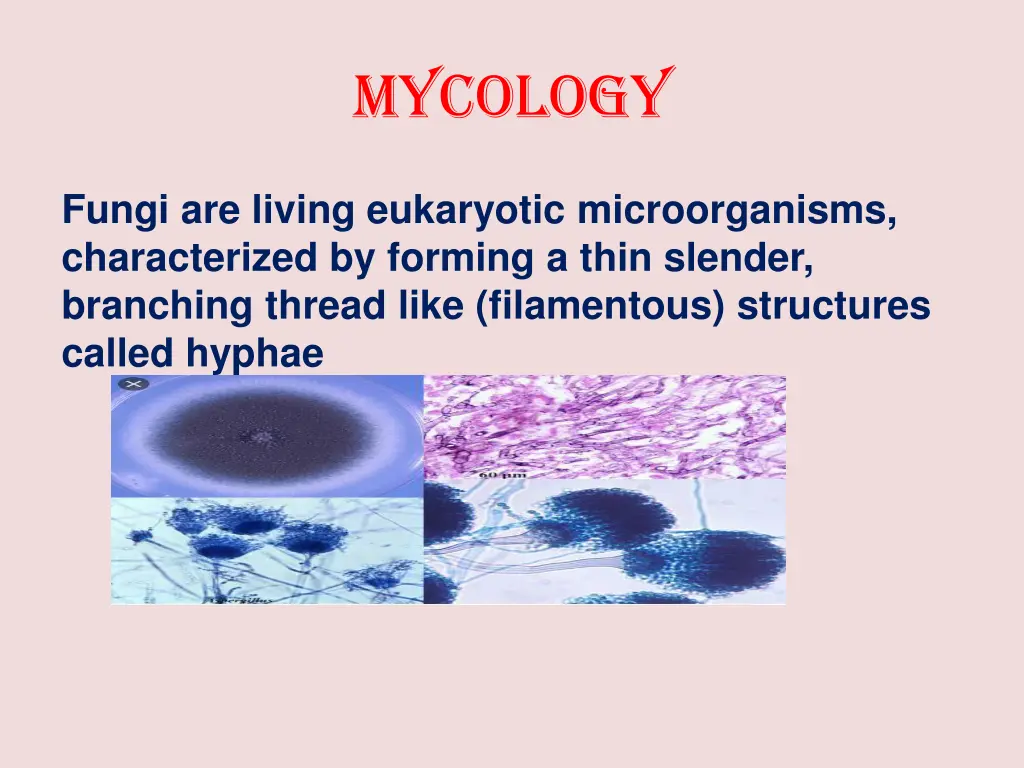 mycology