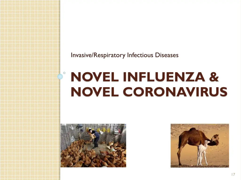 invasive respiratory infectious diseases 1