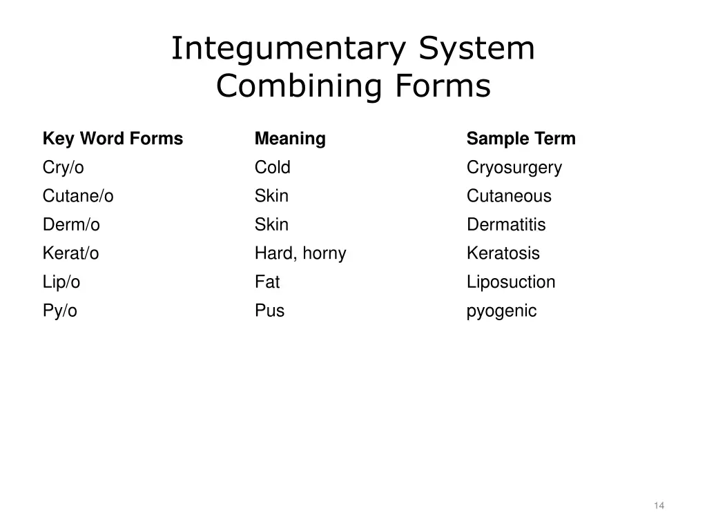 integumentary system combining forms