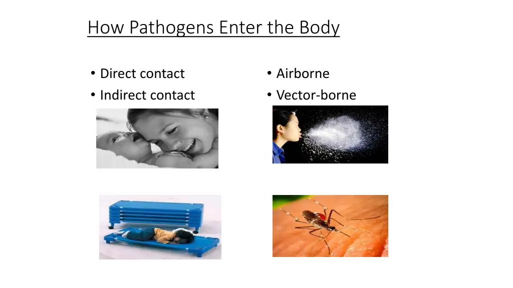 how pathogens enter the body