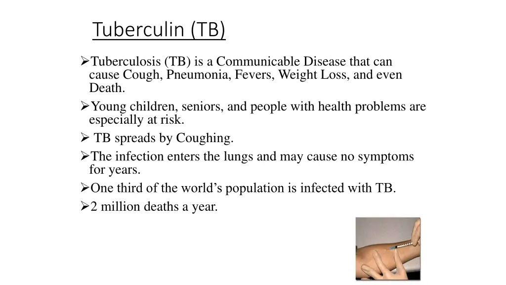 tuberculin tb