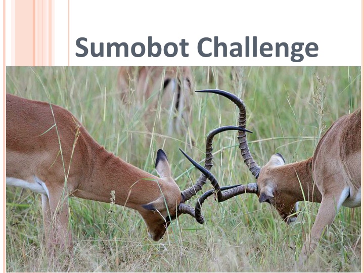 sumobot challenge