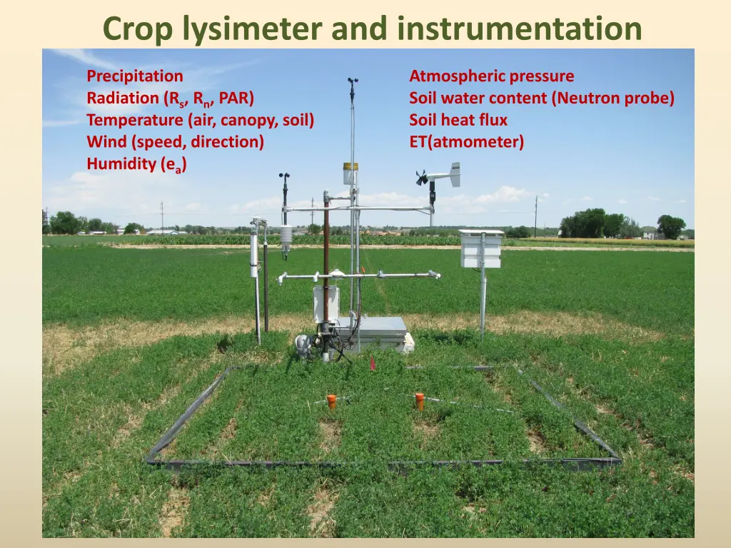 crop lysimeter and instrumentation