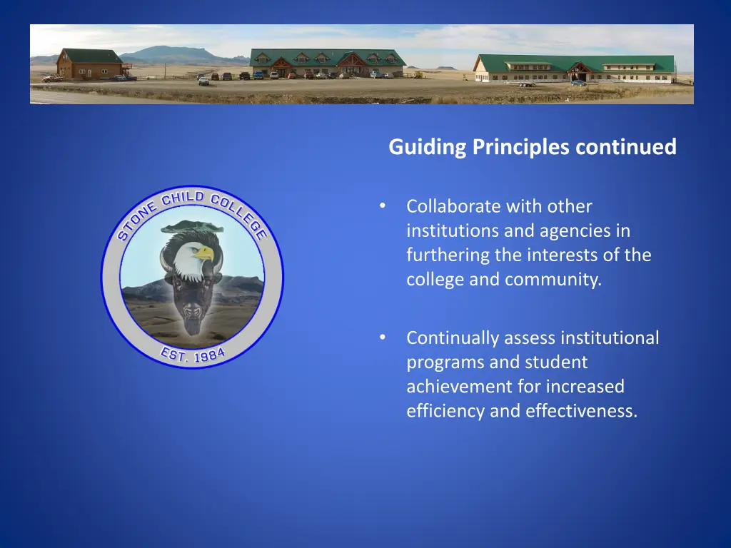 guiding principles continued