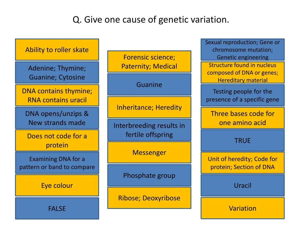 q give one cause of genetic variation