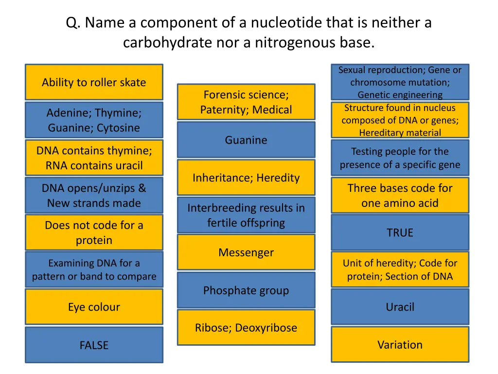 q name a component of a nucleotide that