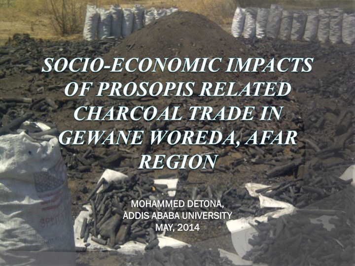 socio economic impacts of prosopis related