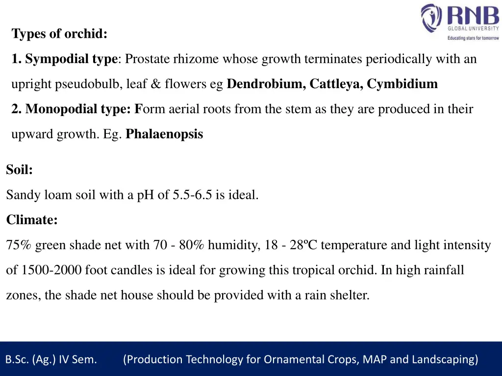 types of orchid