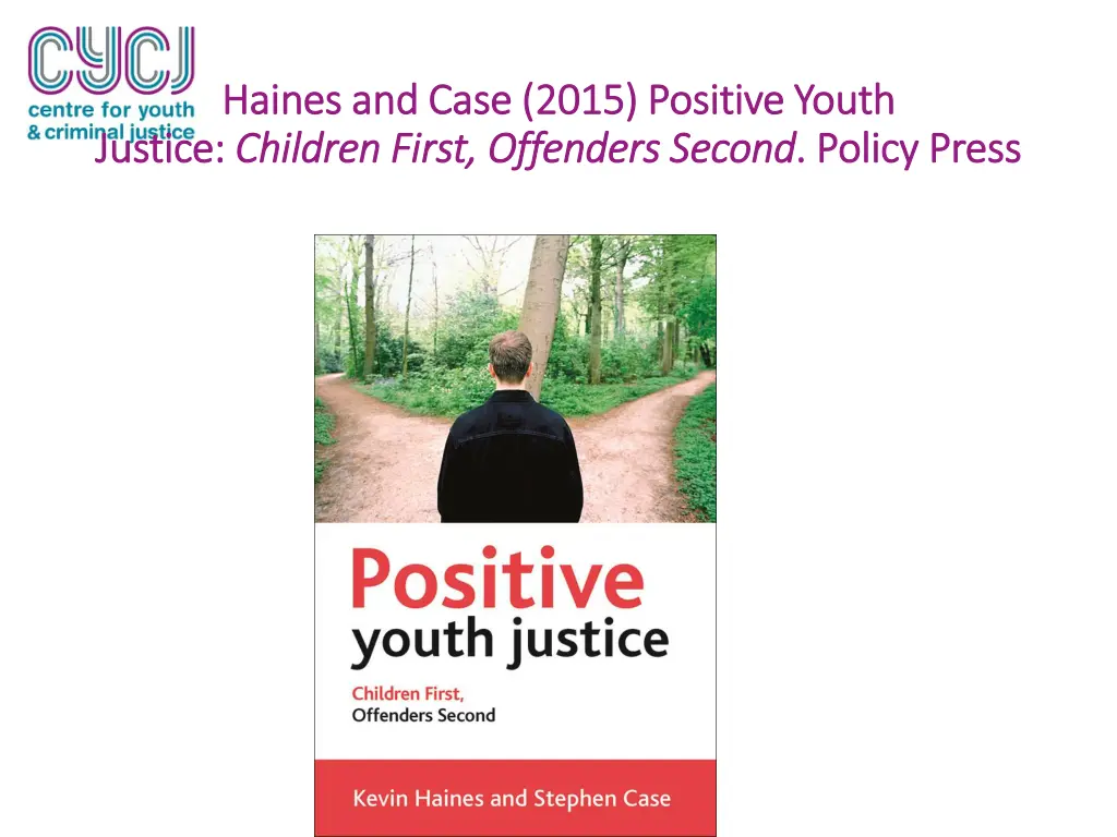 haines and case 2015 positive youth haines