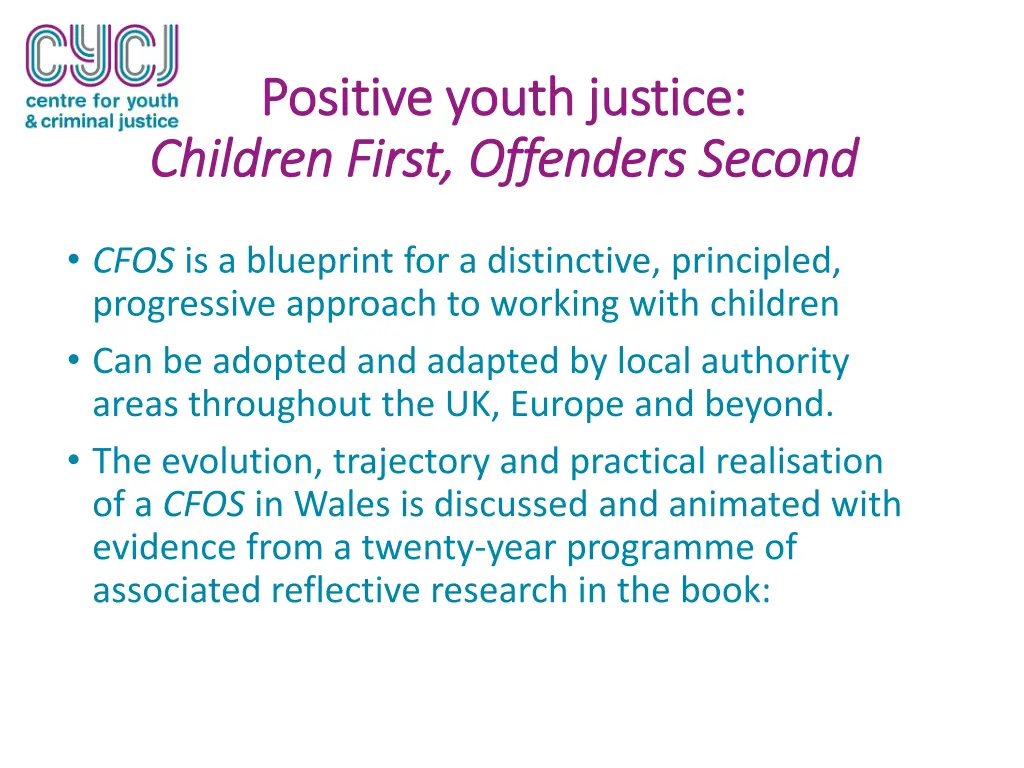 positive positive youth justice youth justice 1