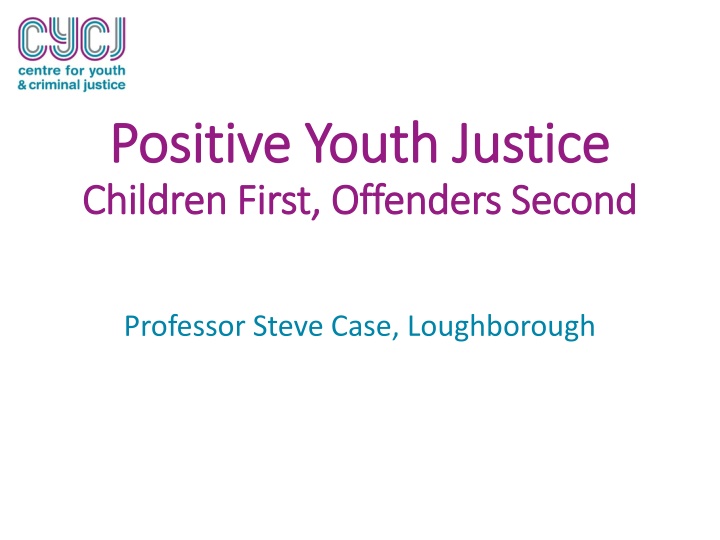 positive youth justice positive youth justice