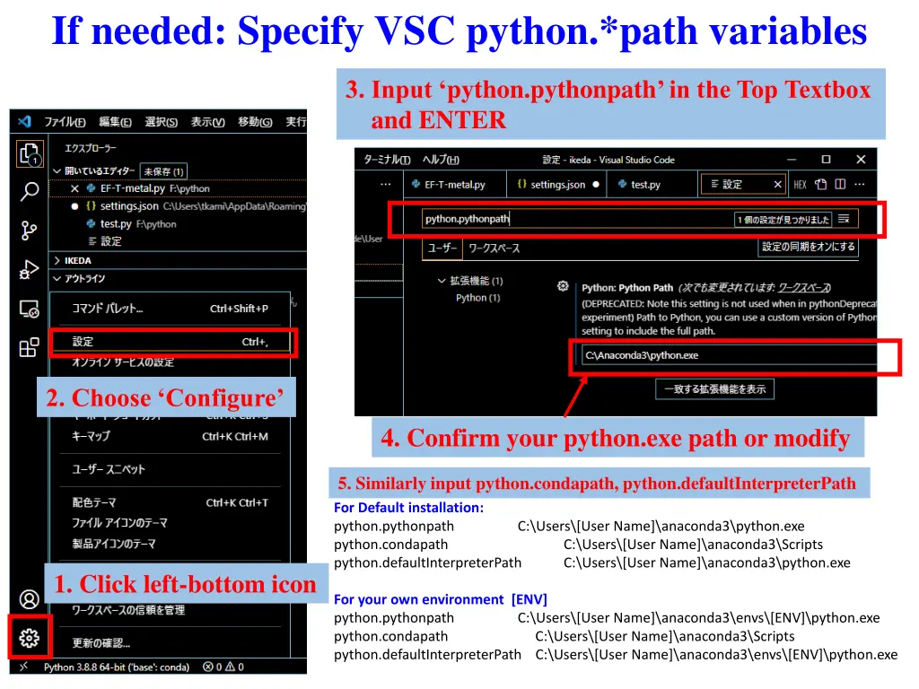 if needed specify vsc python path variables