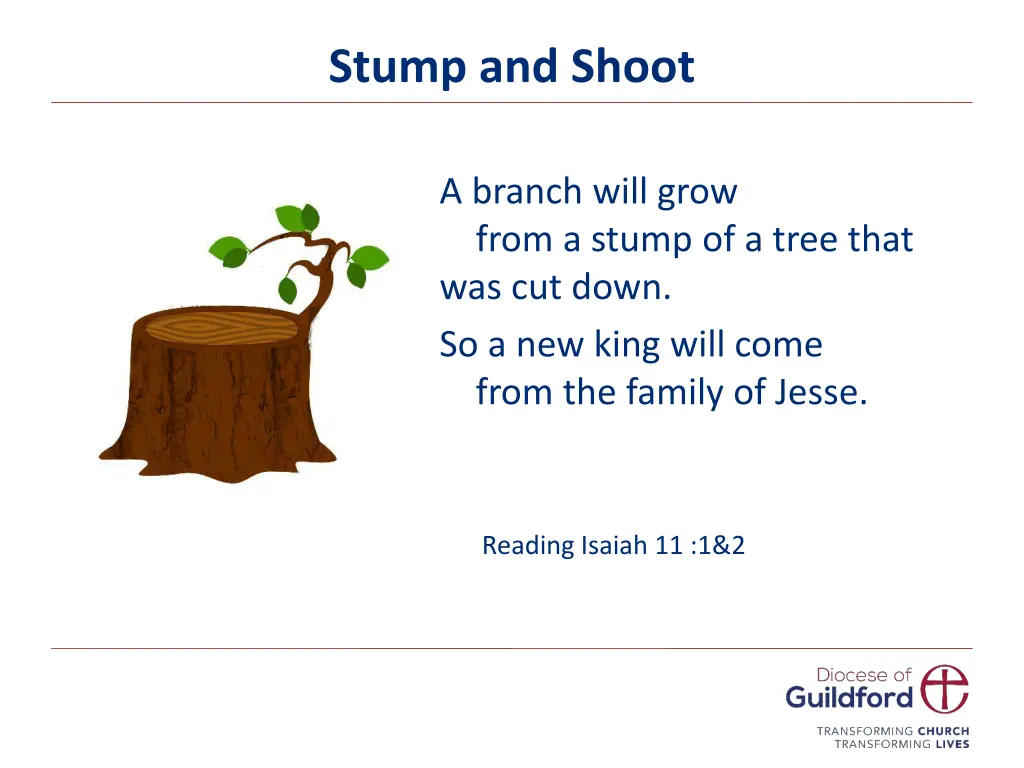 stump and shoot