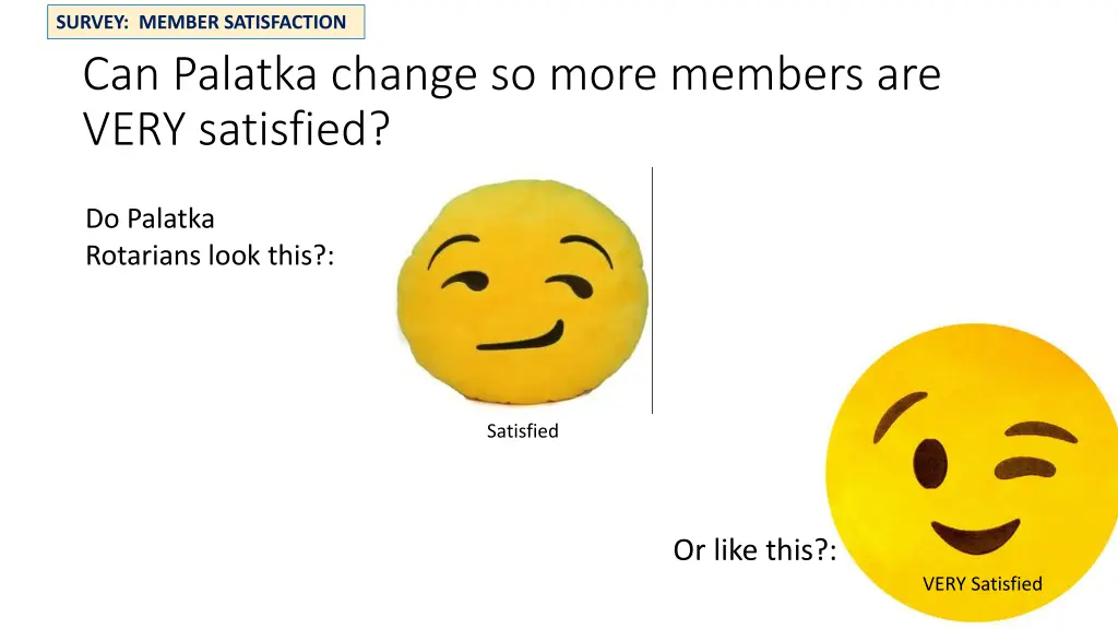 survey member satisfaction