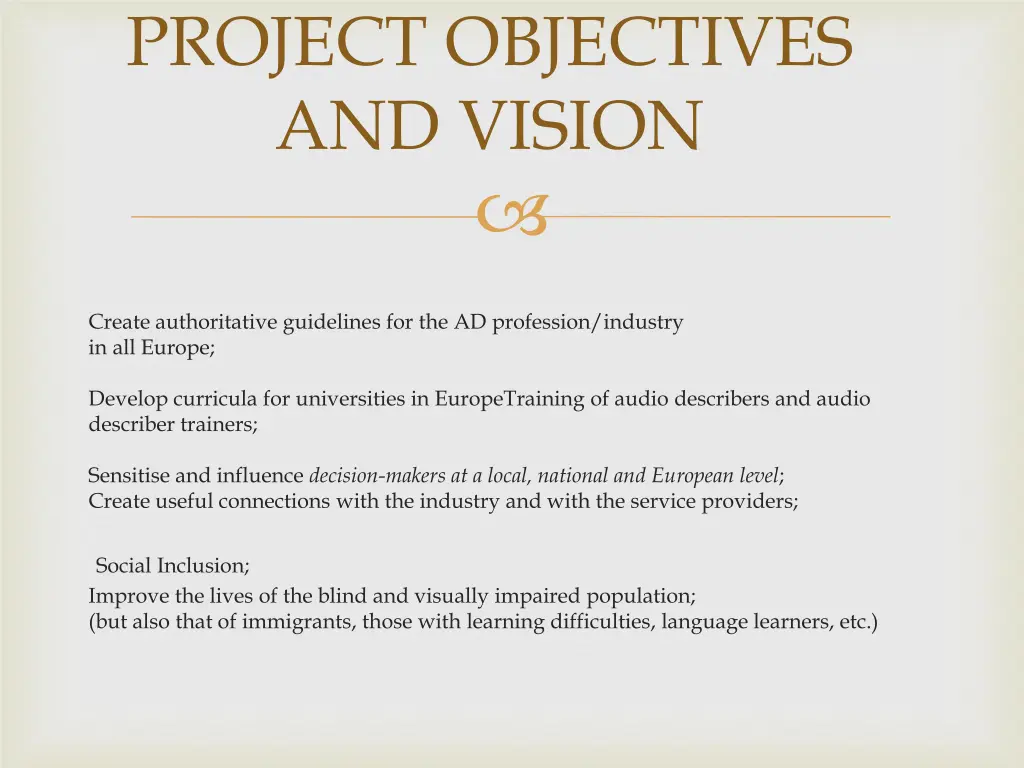 project objectives and vision