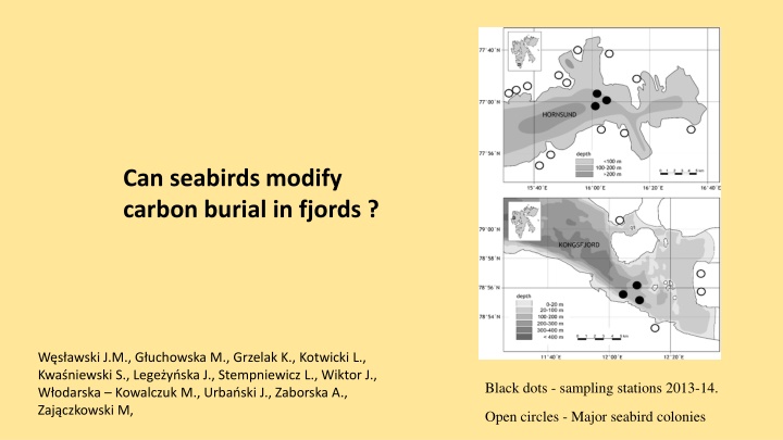 can seabirds modify carbon burial in fjords