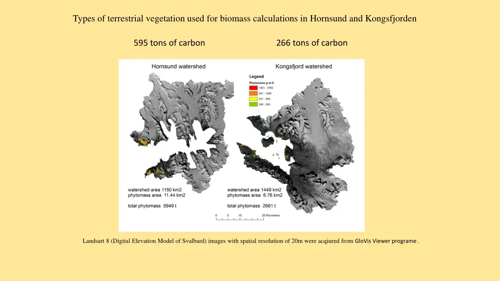 types of terrestrial vegetation used for biomass